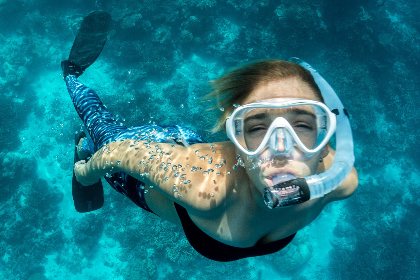Snorkeling: The art of Exploring Sealife!