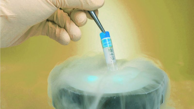 Do You Know About Embryo Transfer?
